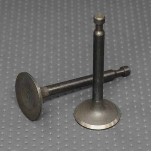 Комплект клапанов для 4-х тактного двигателя LIFAN 168F